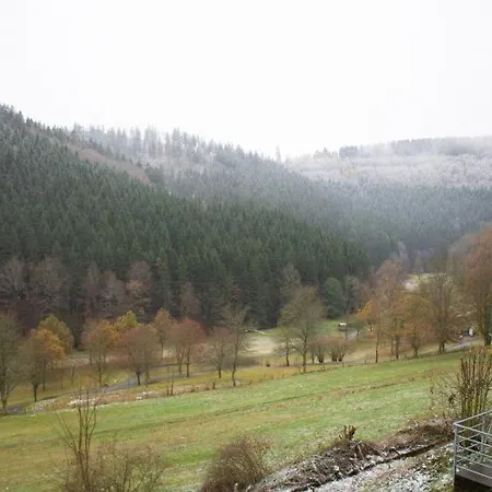 Tal Blick 3-zimmer Nordenau/ Winterberg Apartment